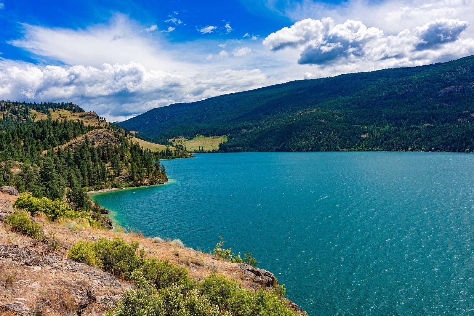 Kalamalka Lake and Vernon valley